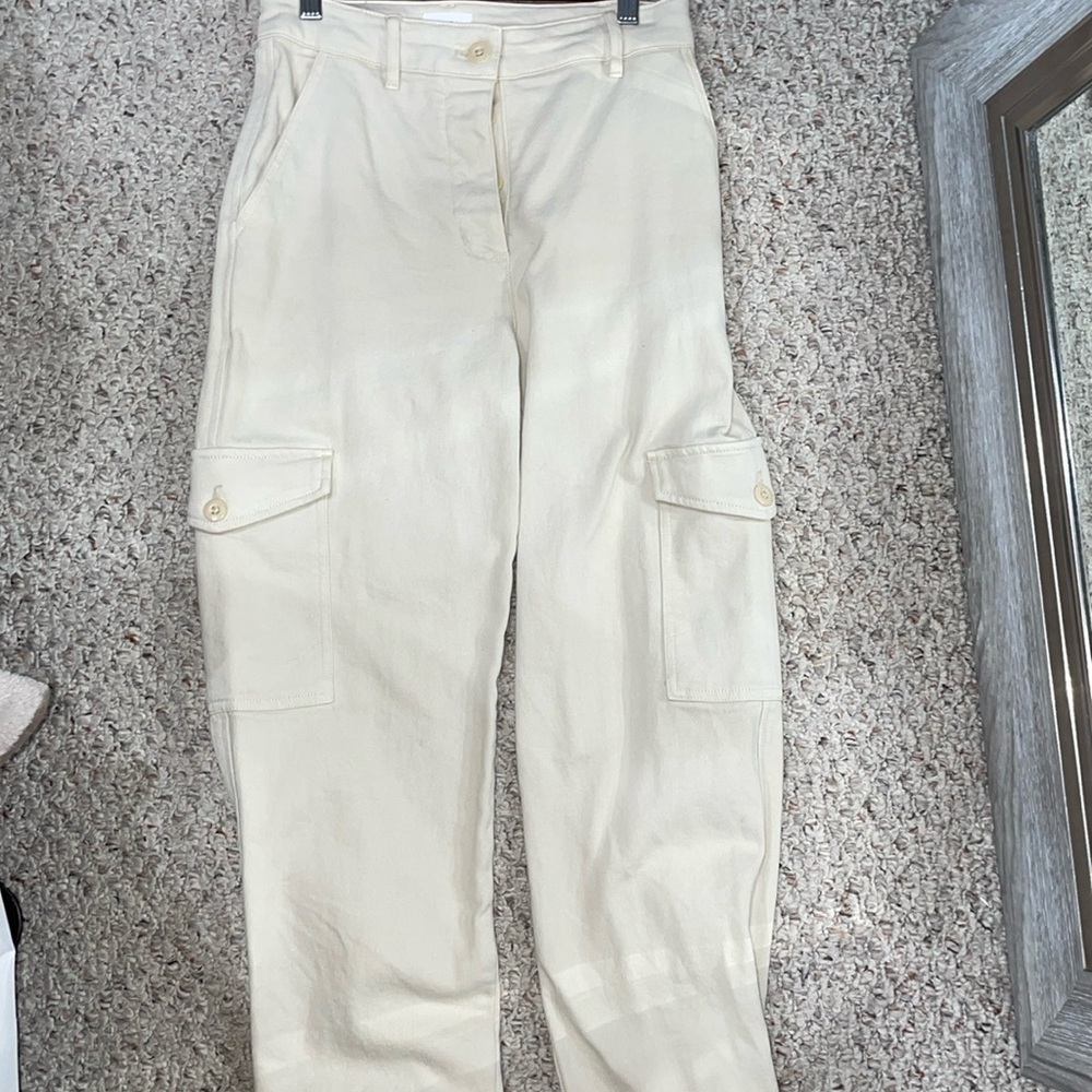 Aritizia cargos